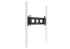 Produkt Bild Wandmontiertes 2 S&auml;ulen Pylonensystem f&uuml;r Monitore von 65-86" PY1E-IFPD-W
