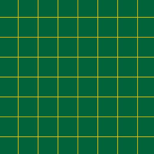 Produkt Bild Lineatur 5cm quadriert LIN 5