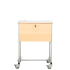 Produkt Bild Klassenbuchwagen zur Unterbringung von Klassenb&uuml;chern DIN A4, Serie KLW, fahrbar KLW 2-16