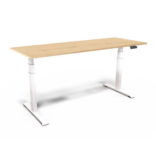 Produkt Bild Elektrisch h&ouml;henverstellbarer Schreibtisch EHC 160-8 W